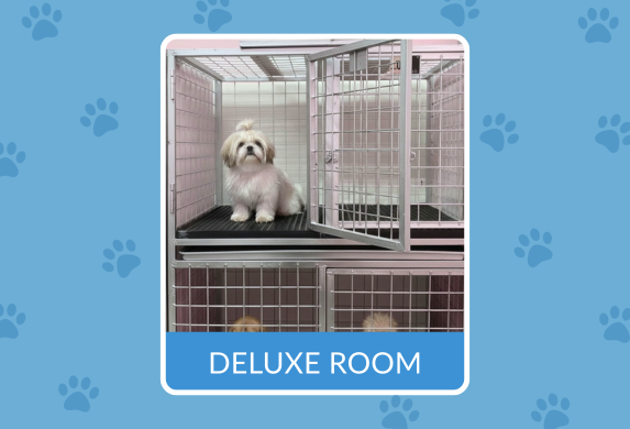 Deluxe Unit interior